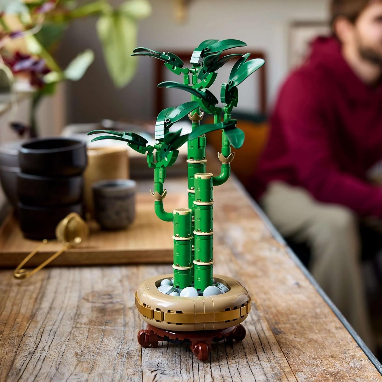 LEGO Botanicals Bambù del Buon Auspicio - Idee Regalo Donna o per la Festa della Mamma - Pianta Artificiale da Arredamento Interno con Vaso Finto, Decorazione di Casa dalla Botanical Collection 10344