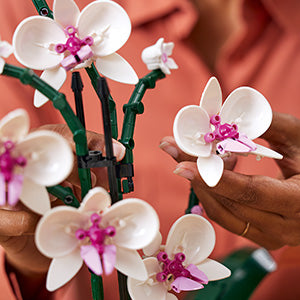 LEGO Botanicals Orchidea - Idee Regali Donna o per la Festa della Mamma - Pianta Artificiale da Costruire per Adulti, Fiori Finti e Vaso per Decorazione di Casa dalla Collezione Botanica - 10311