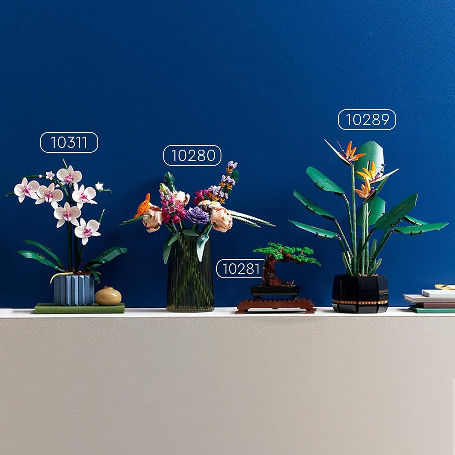 LEGO Botanicals Orchidea - Idee Regali Donna o per la Festa della Mamma - Pianta Artificiale da Costruire per Adulti, Fiori Finti e Vaso per Decorazione di Casa dalla Collezione Botanica - 10311
