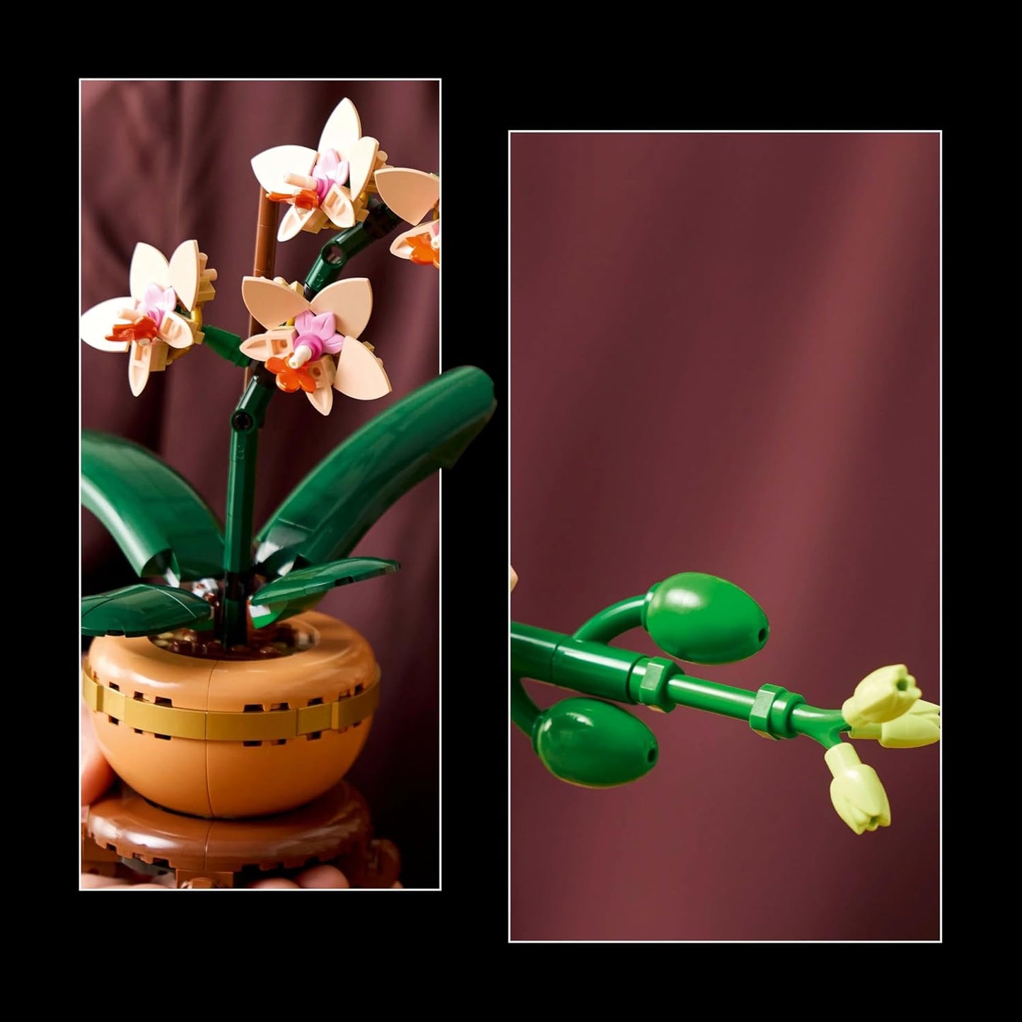 LEGO Botanicals Mini-Orchidea - Idee Regalo Donna o per la Festa della Mamma - Set con Fiori Finti e Vaso, Bocciolo e Foglie Artificiali da Costruire, Botanical Collection per Adulti - 10343
